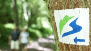 Logo Premiumwege Logo Premiumwege