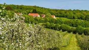 Wintringer Hof 