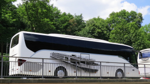 Bus Bus